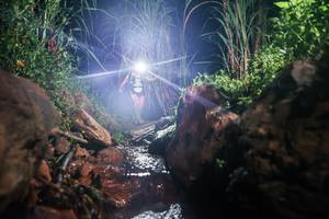 BIB: 
                            <button type="button" onclick="openModal(26413867)" class="btn btn-primary btn-sm float-right btn-popup" data-toggle="modal" data-target=".modal-high-quality">
                        <i class="fas fa-shopping-cart"></i> Add to Cart
                    </button>
                                            <button type="button" onclick="isThisMe(26413867, true)" class="btn btn-success btn-sm float-right btn-popup btn-isme hidden" data-toggle="tooltip" data-placement="bottom" title="นี่คือรูปของคุณใช่ไหม คลิกที่นี่เพื่อเอาเข้าอัลบั้ม">
                        <i class="fas fa-plus"></i> Add to album
                    </button>
                    <button type="button" onclick="isThisMe(26413867, false)" class="btn btn-warning btn-sm float-right btn-popup btn-isnotme hidden">
                        <i class="fas fa-ban"></i> Remove from album
                    </button>